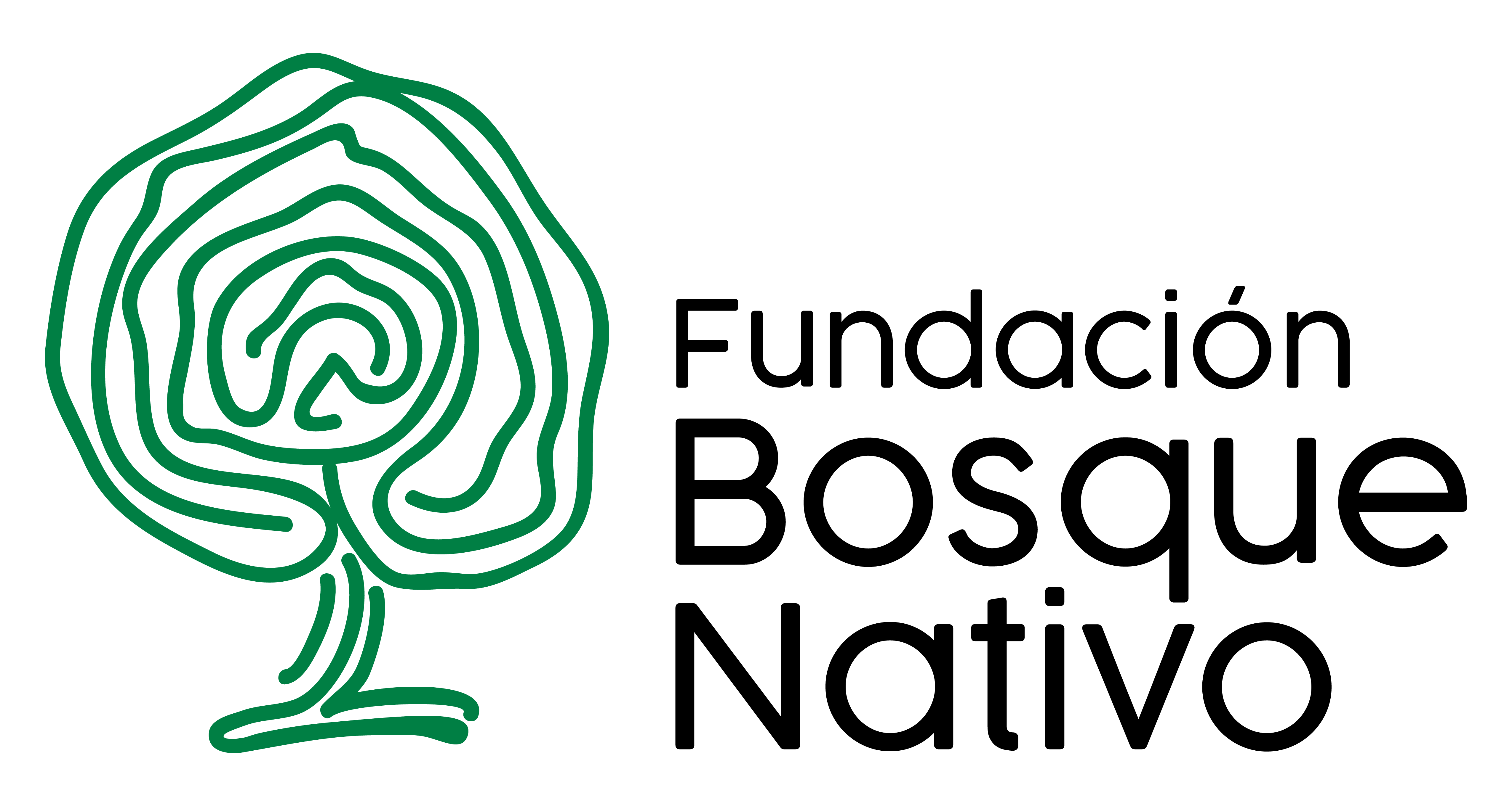 Fundación Bosque Nativo
